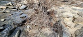 Enlarge photo 482