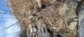 Enlarge photo 481