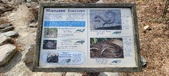 Enlarge photo 483