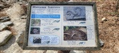 Enlarge photo 490