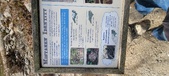 Enlarge photo 489