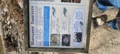 Enlarge photo 488