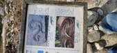 Enlarge photo 487