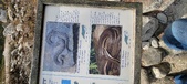 Enlarge photo 491