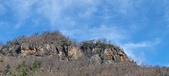 Enlarge photo 511