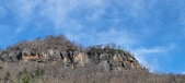Enlarge photo 517