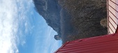 Enlarge photo 537