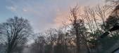 Enlarge photo 39
