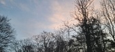 Enlarge photo 37