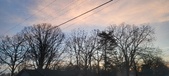 Enlarge photo 34