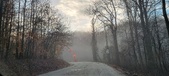 Enlarge photo 43