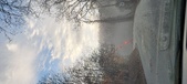 Enlarge photo 45
