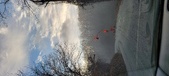 Enlarge photo 51