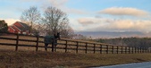 Enlarge photo 63
