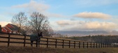 Enlarge photo 64