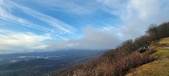 Enlarge photo 79
