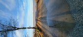 Enlarge photo 169