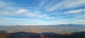 Enlarge photo 179
