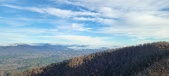 Enlarge photo 184