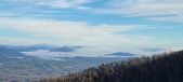 Enlarge photo 182