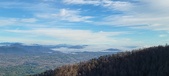 Enlarge photo 181