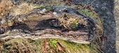 Enlarge photo 204