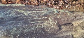 Enlarge photo 196