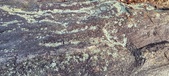 Enlarge photo 195