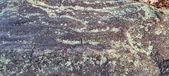 Enlarge photo 194