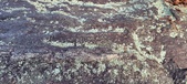 Enlarge photo 193