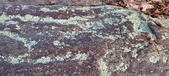 Enlarge photo 200