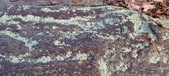 Enlarge photo 199