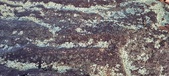 Enlarge photo 198