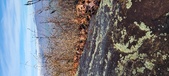 Enlarge photo 197