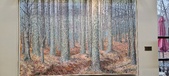 Enlarge photo 215
