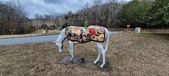 Enlarge photo 213