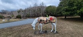Enlarge photo 212