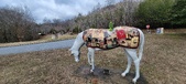 Enlarge photo 217