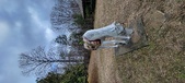 Enlarge photo 221