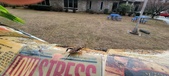 Enlarge photo 225