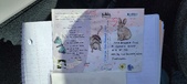 Enlarge photo 232
