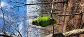 Enlarge photo 237