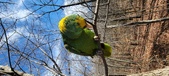 Enlarge photo 241