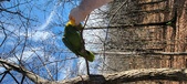 Enlarge photo 243