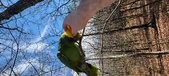 Enlarge photo 247