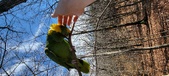 Enlarge photo 246