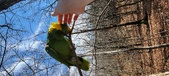 Enlarge photo 245