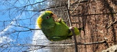 Enlarge photo 248