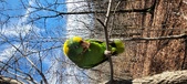 Enlarge photo 255