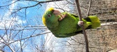Enlarge photo 253